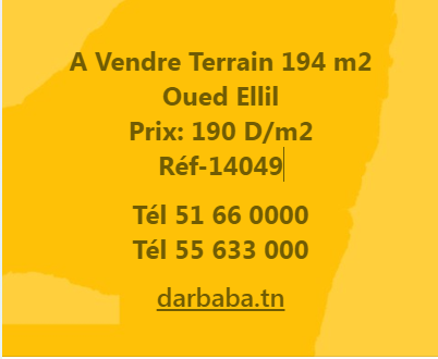 Mannouba La Mannouba Vente Surfaces Av des terrains a manouba ref14049
