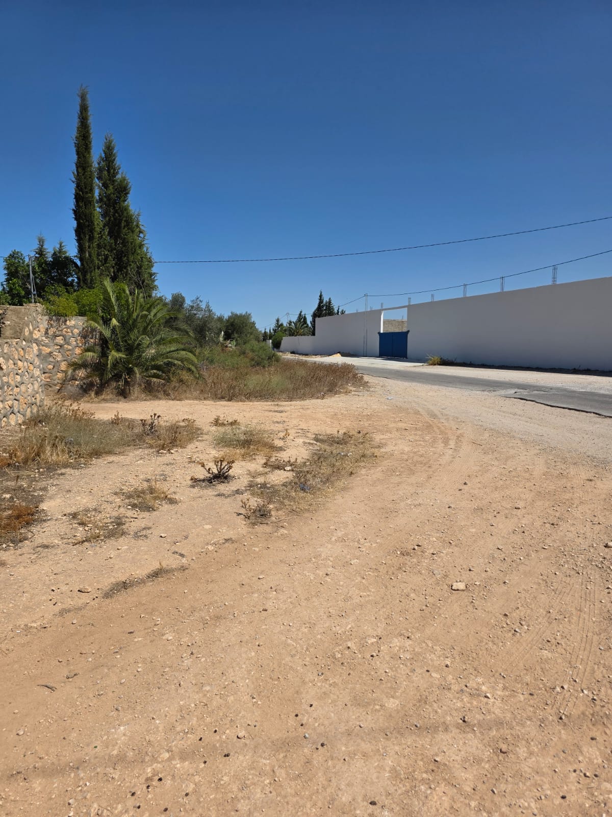 Sidi Bou Ali Kenana Terrain Terrain agricole Terrain agricole 3ha titrs  knena sidi bou ali