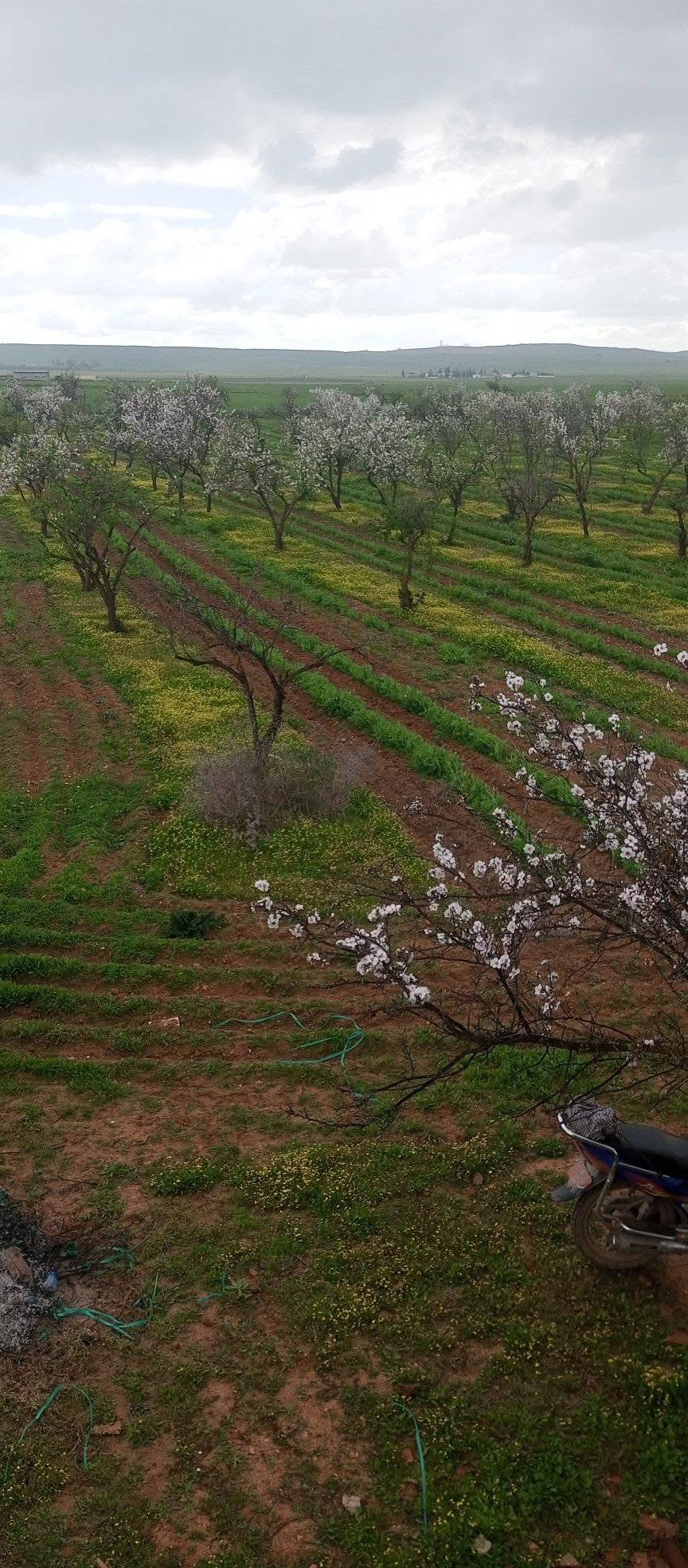 Bir Mcherga Boucha Terrain Terrain agricole Ferme agricole 6h  boucha dour ismail