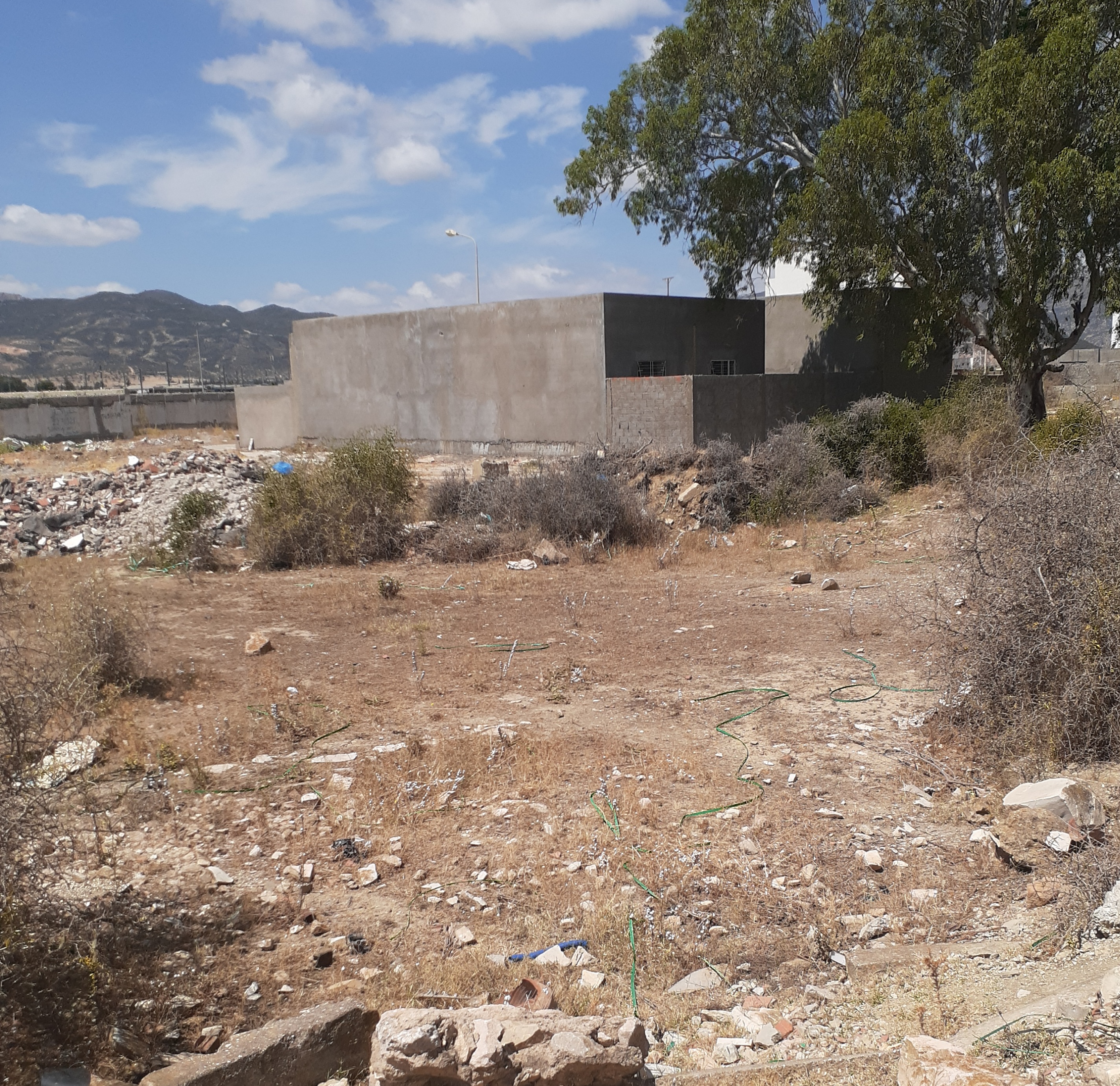 Hammam Chatt Borj Cedria Terrain Terrain nu Terrain lotissement des finances riadh borj cedria