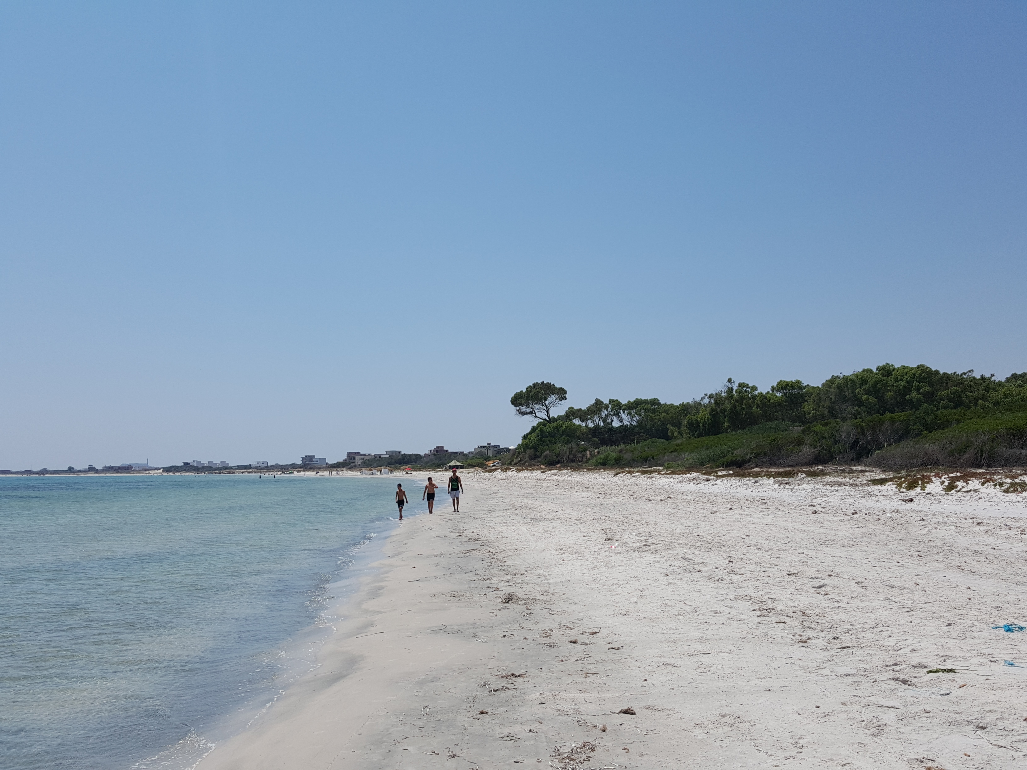 Kelibia Kerkouane Terrain Terrain nu Opportunit pour les investisseurs de 01ha