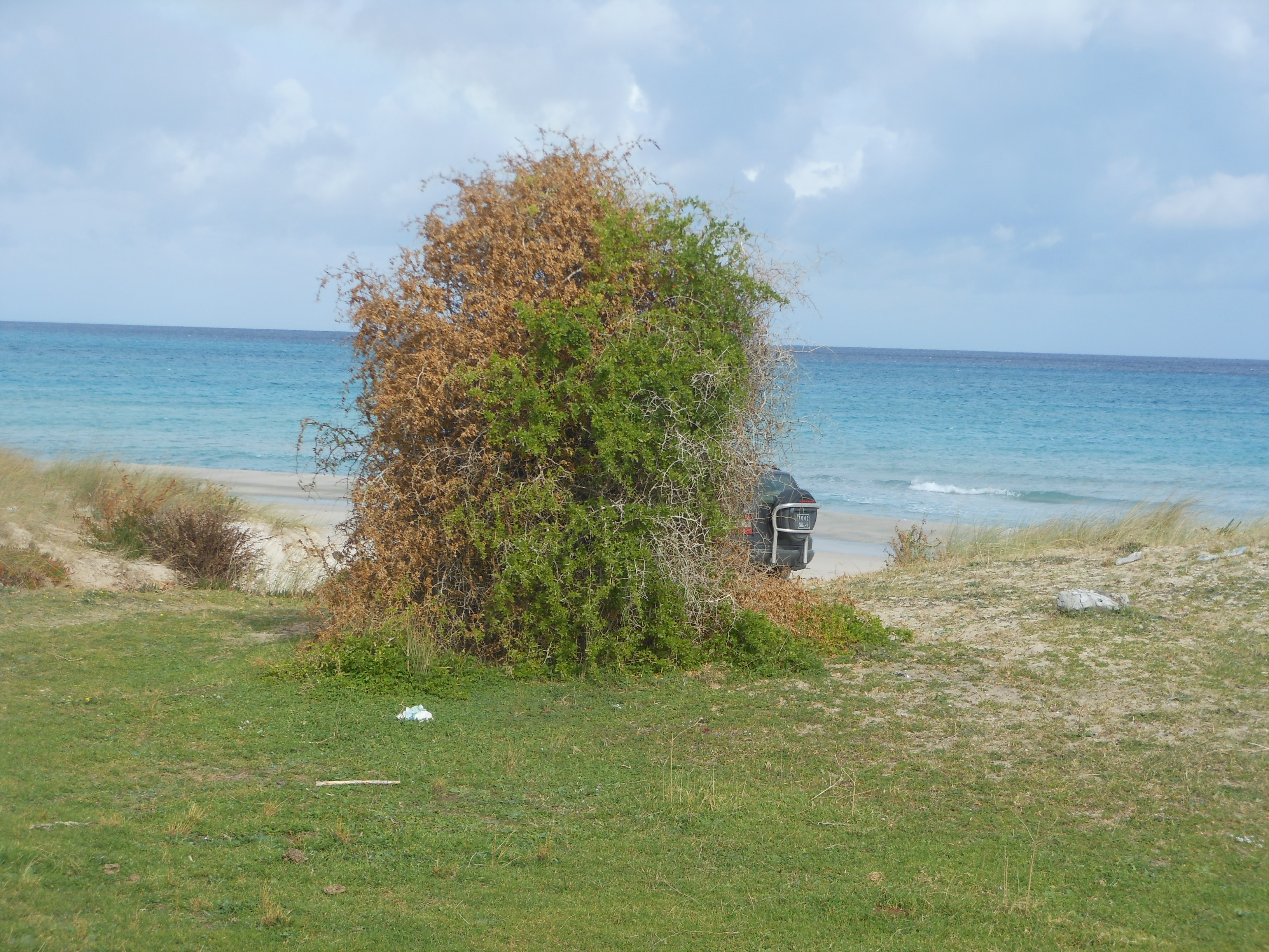 Hammam El Ghezaz Tamazrat Terrain Terrain nu 1 hectare au bord de la mer tamazrat