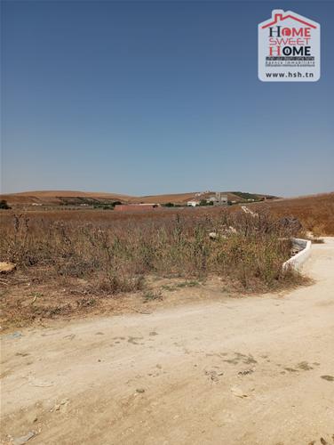 Sidi Thabet Sidi Thabet Terrain Terrain nu Terrain promoteur arbus  sidi thabet