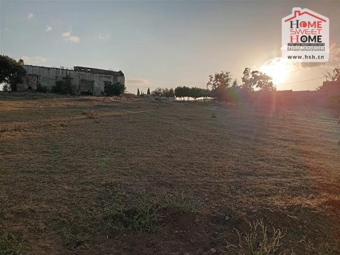 Soliman Cherifate Terrain Terrain agricole Ferme raya  soliman