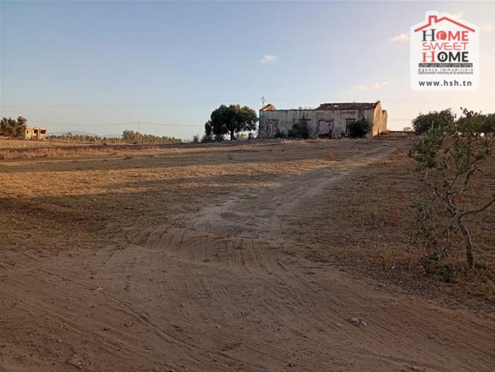 Soliman Cherifate Terrain Terrain agricole Ferme raya  soliman