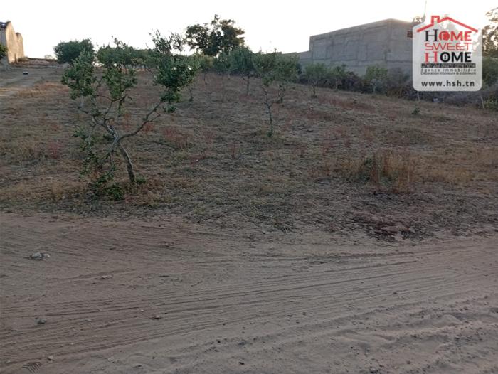 Soliman Cherifate Terrain Terrain agricole Ferme raya  soliman