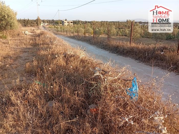 Soliman Cherifate Terrain Terrain agricole Ferme raya  soliman