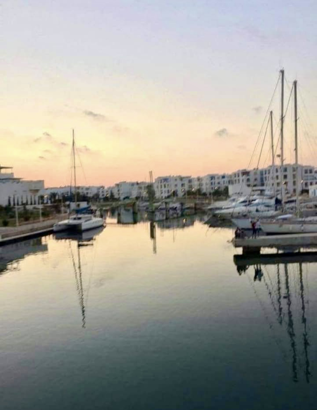 Hammamet Zone Hoteliere Vente Appart. 2 pices Appart marina