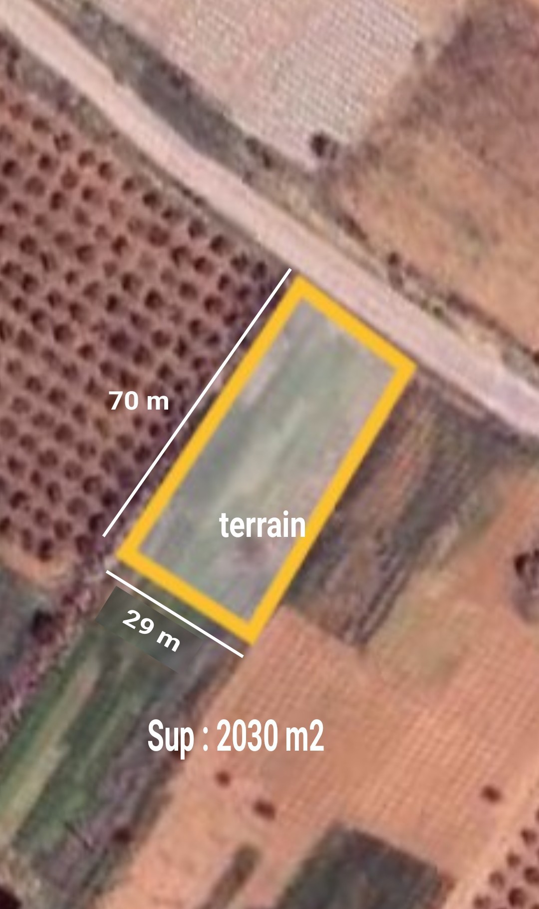 Sfax Sud Cite Sidi Abid Terrain Terrain nu Terrain nu 2030 m2 pour construction de villa
