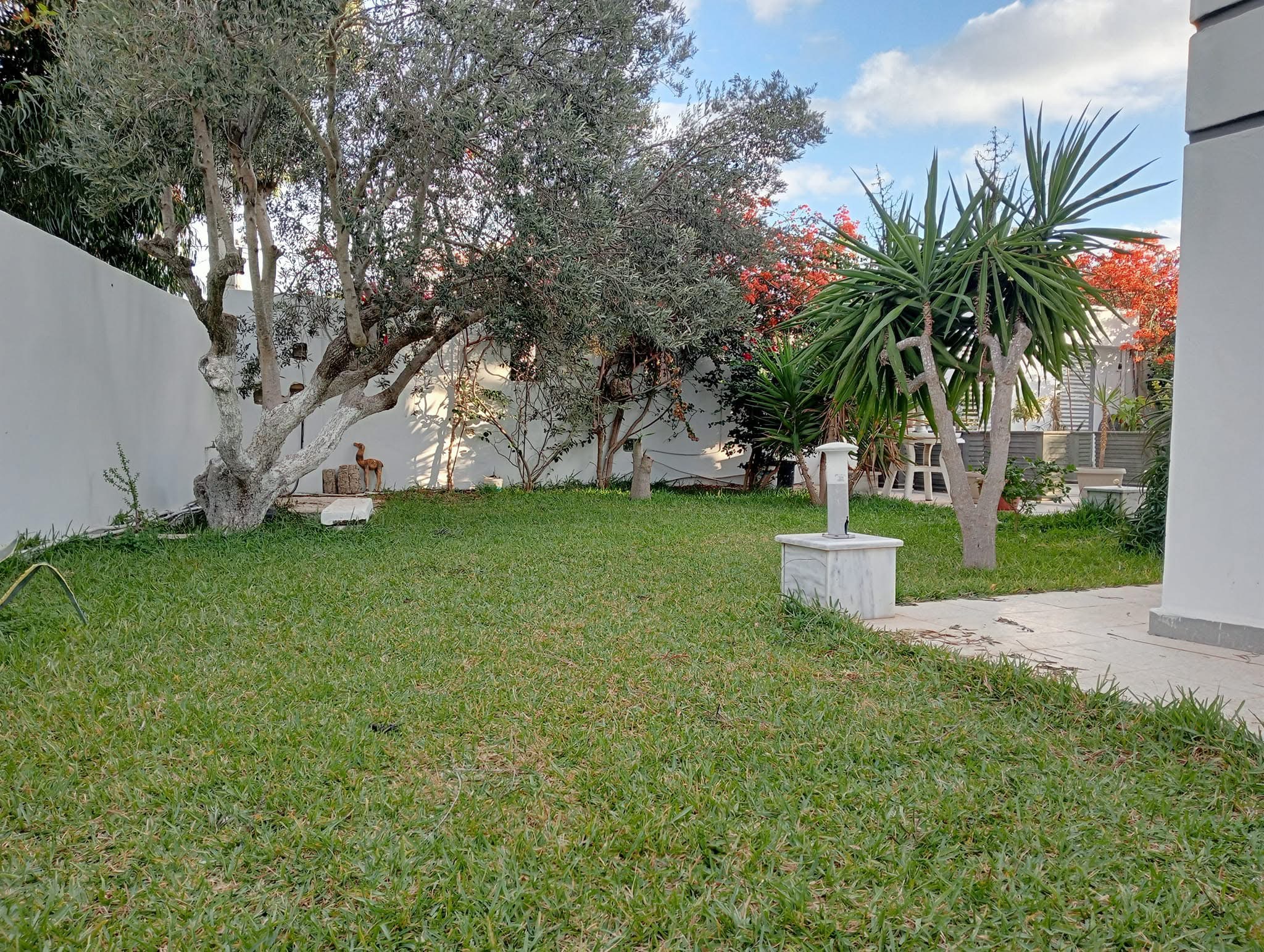 Hammam El Ghezaz Hammam El Ghezaz Location Appart. 2 pices Appartements avec terrasse vue sur mer