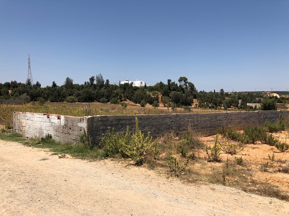 Hammamet Barraket Essahel Terrain Terrain nu Terrain titre bleu 2000 m2 ou 1000 m2