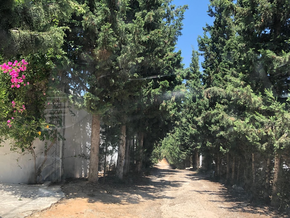 Hammamet Barraket Essahel Terrain Terrain nu Terrain titre bleu 2000 m2 ou 1000 m2