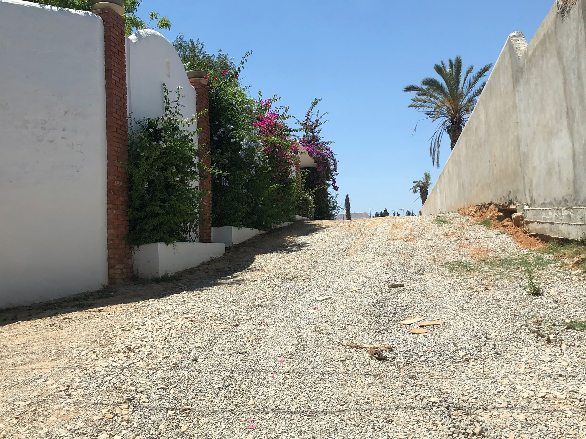 Hammamet Barraket Essahel Terrain Terrain nu Terrain titre bleu 2000 m2 ou 1000 m2