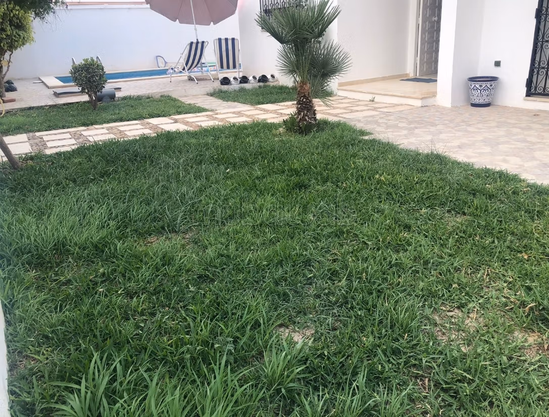 Hammamet Hammamet Vente Maisons Villa avec piscine a hammamet