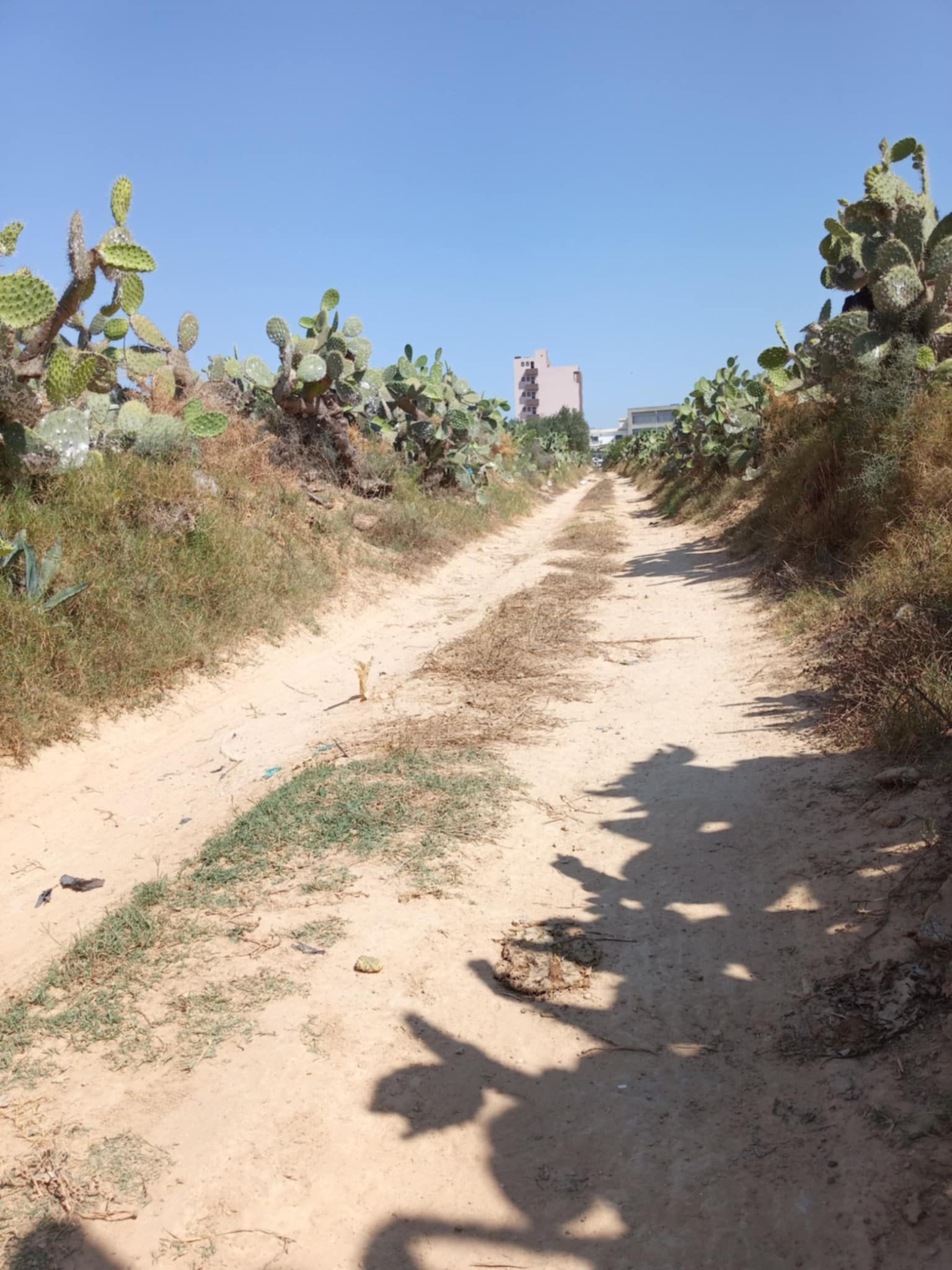 Dar Chaabane Elfehri Dar Chaabane Plage Terrain Terrain nu Terrain  vocation habitation