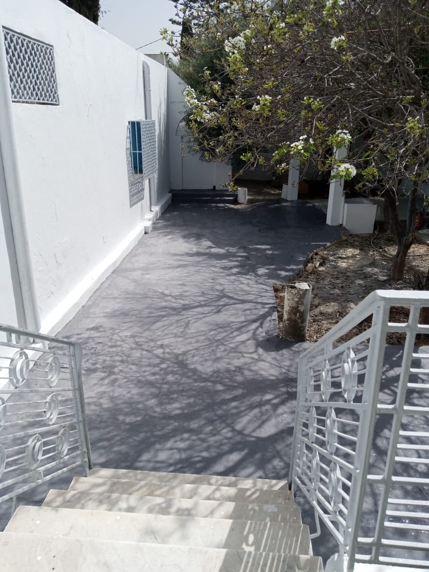 Le Bardo Cite Du Stade Vente Maisons Villa opportunit  ne pas rater