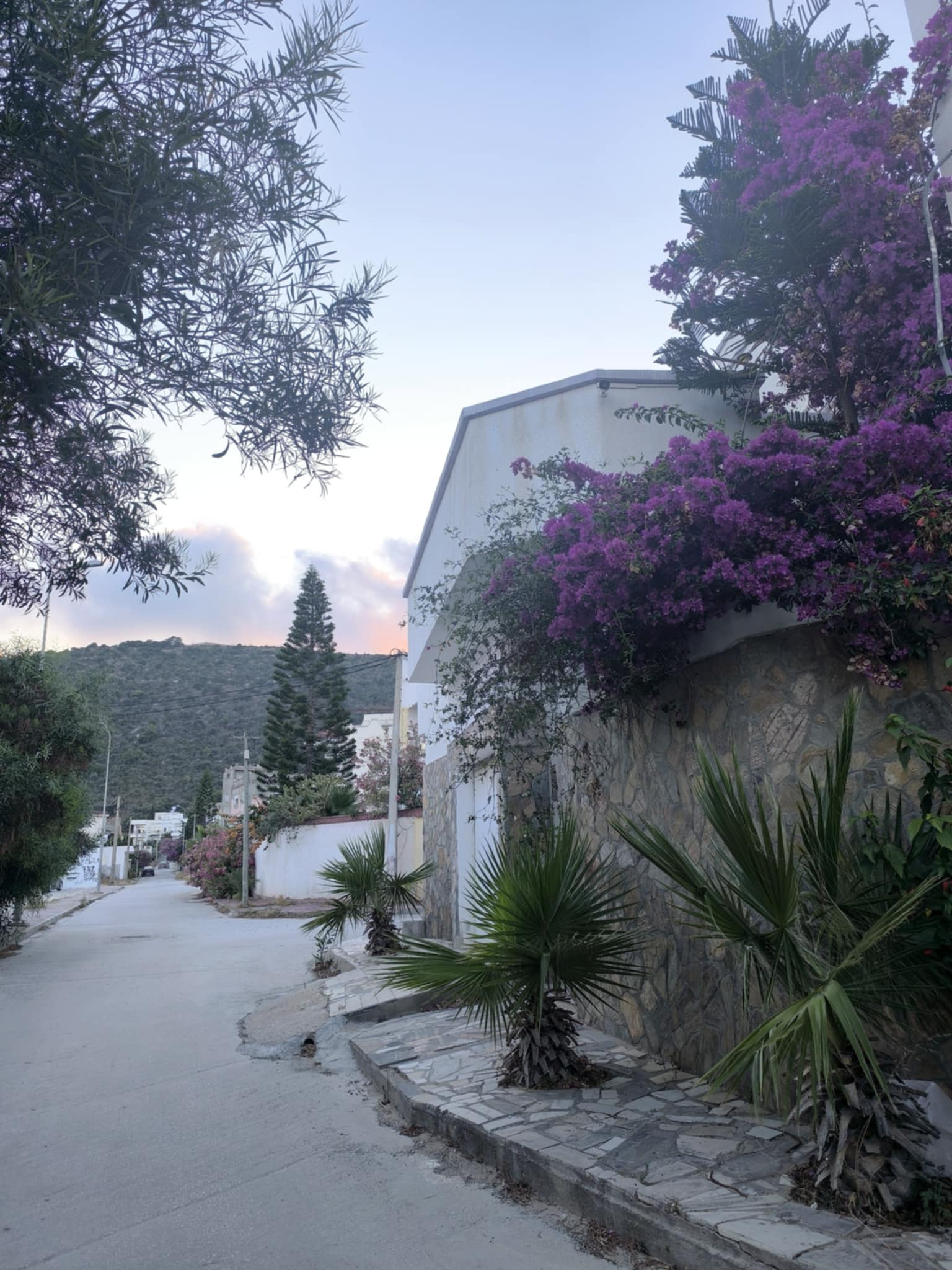 Bizerte Nord Cite El Korniche 1 Location vacances Appart. 1 pice Immo bizerte