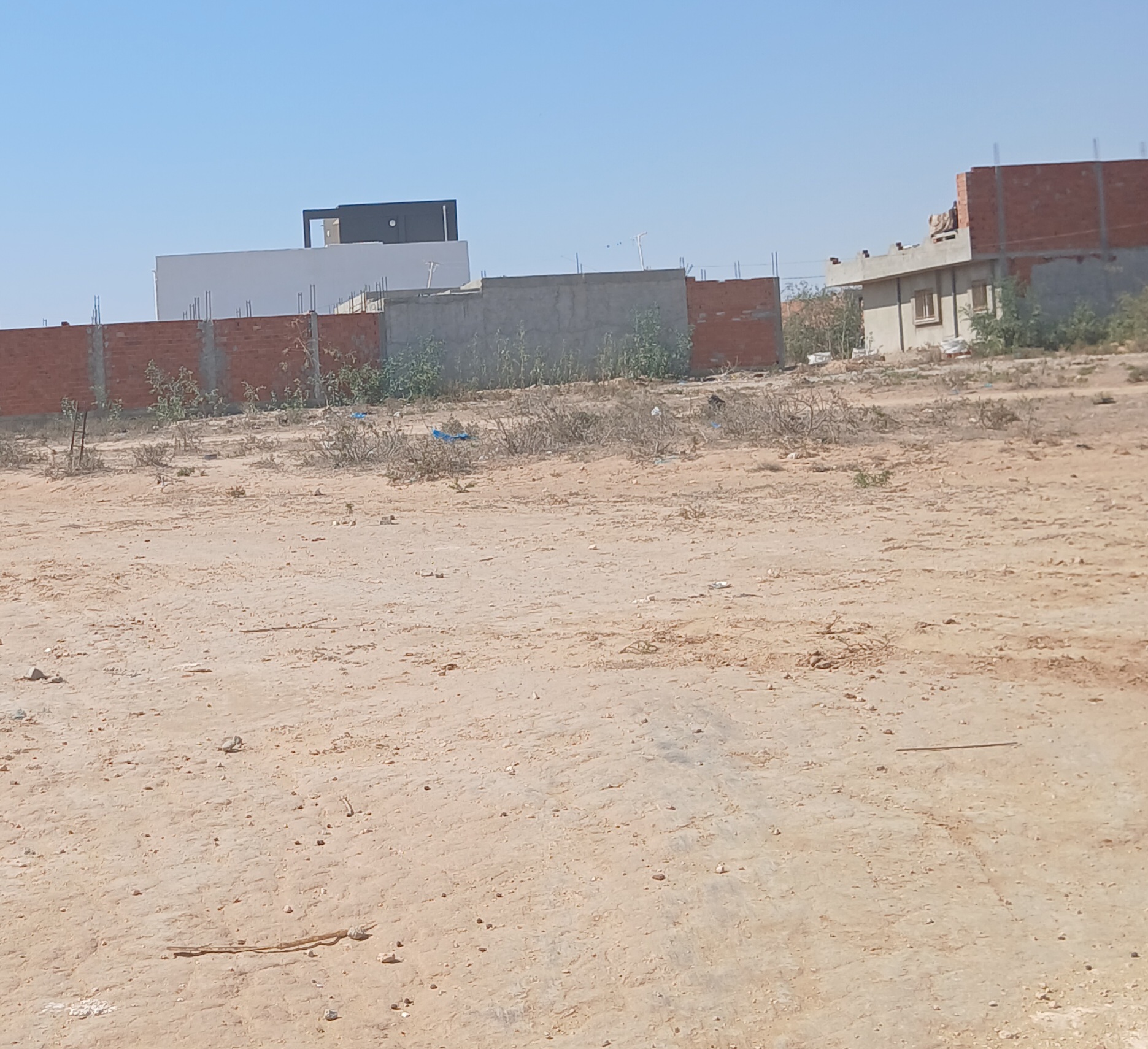Kalaa Essghira Kalaa Essghira Terrain Terrain nu Terrain nu