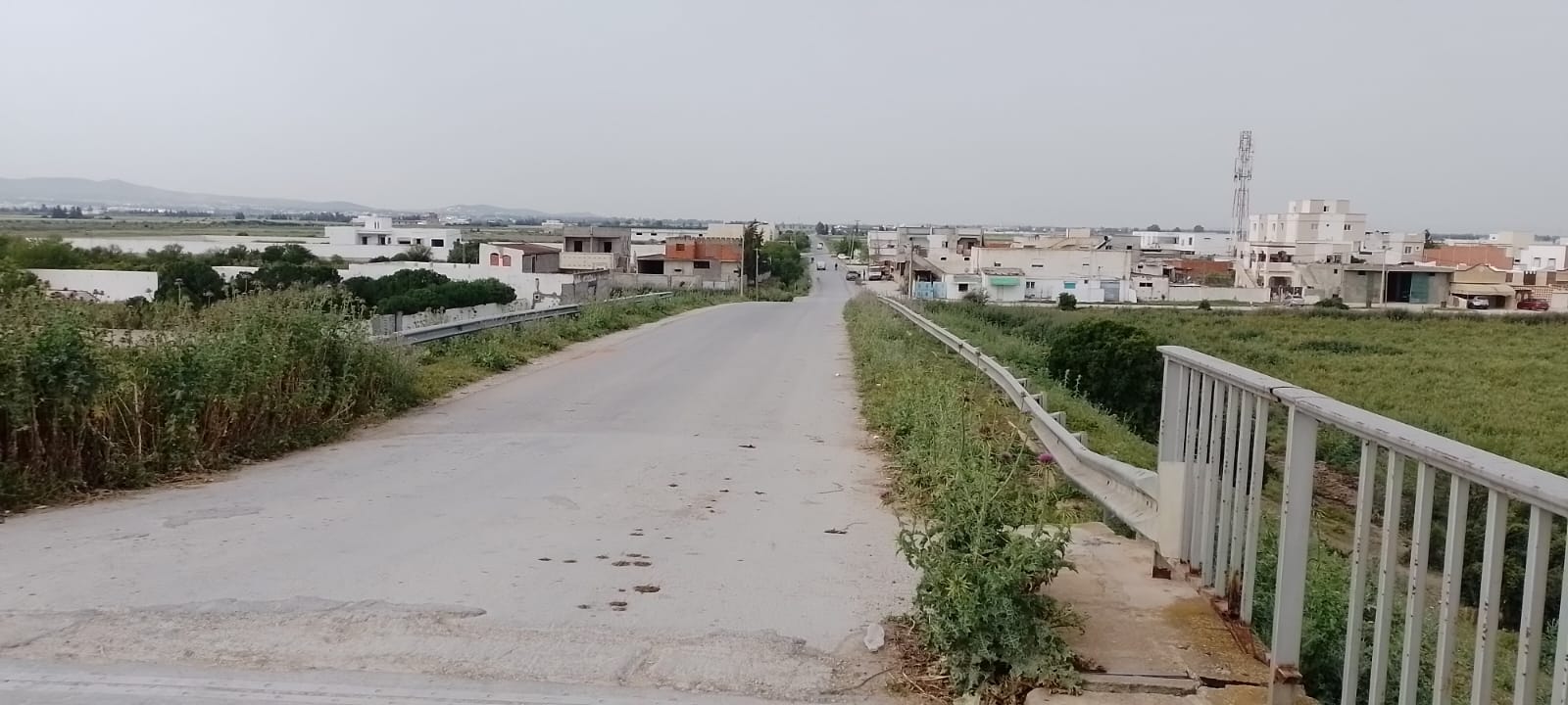 Sidi Thabet Chorfech 24 Vente Autre Terrain agricole irrigu