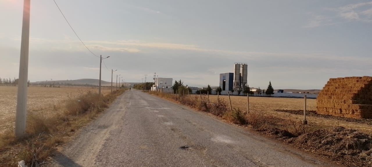 Sidi Thabet Chorfech 24 Vente Autre Terrain agricole irrigu