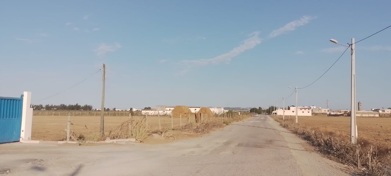 Sidi Thabet Chorfech 24 Vente Autre Terrain agricole irrigu
