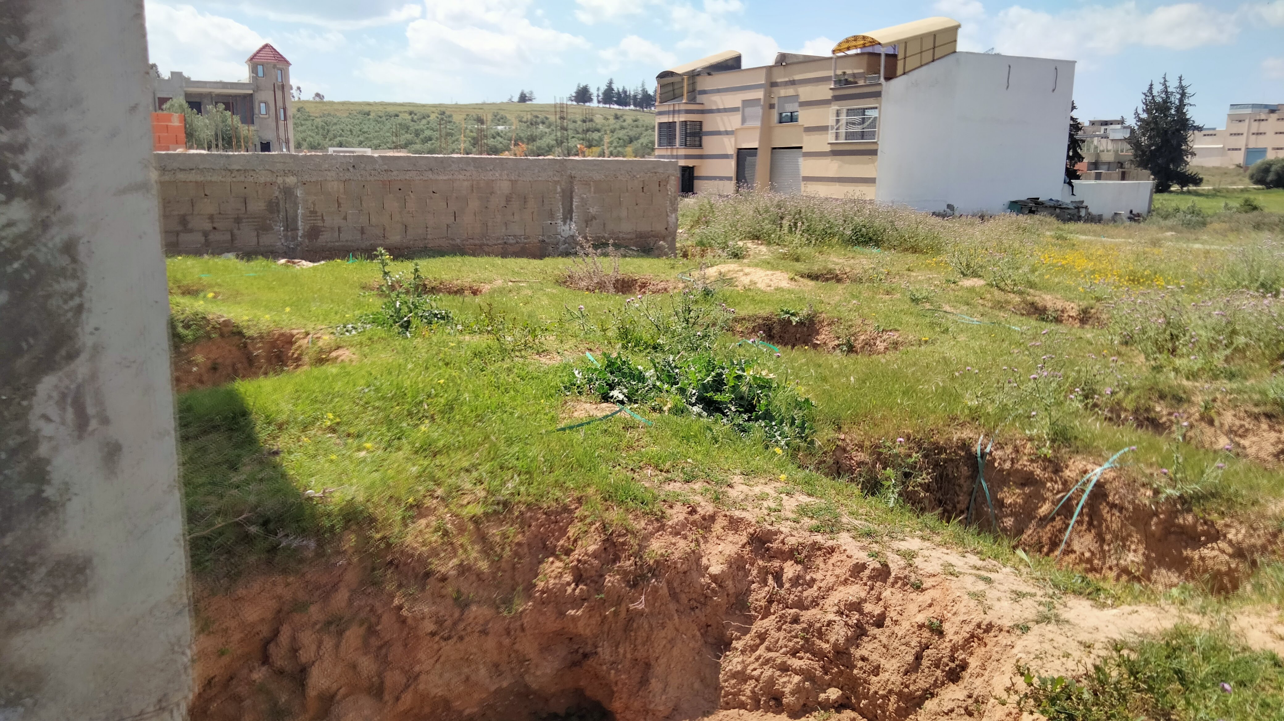 Oued Ellil Oued Ellil Vente Surfaces Une terrain