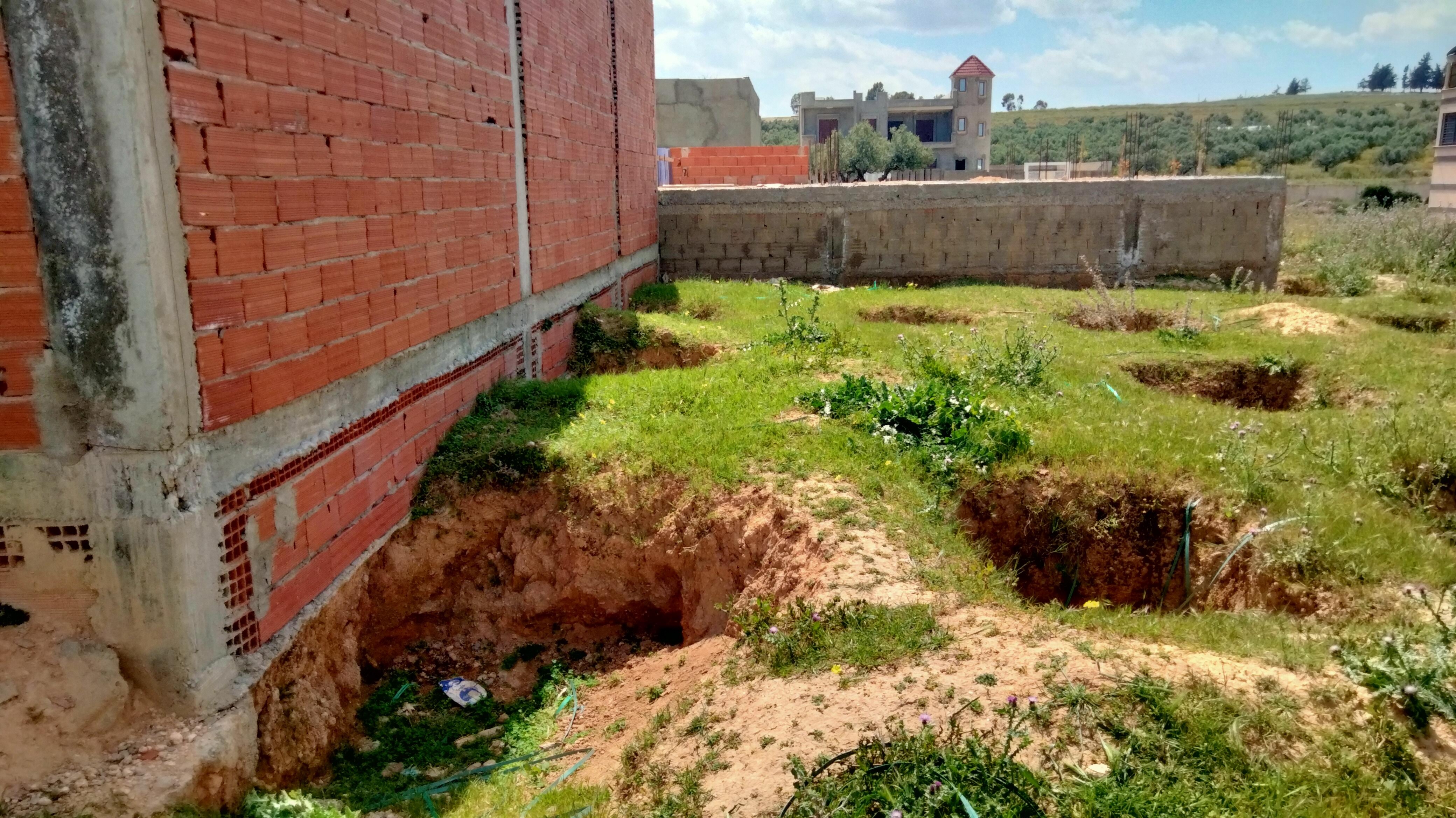 Oued Ellil Oued Ellil Vente Surfaces Une terrain