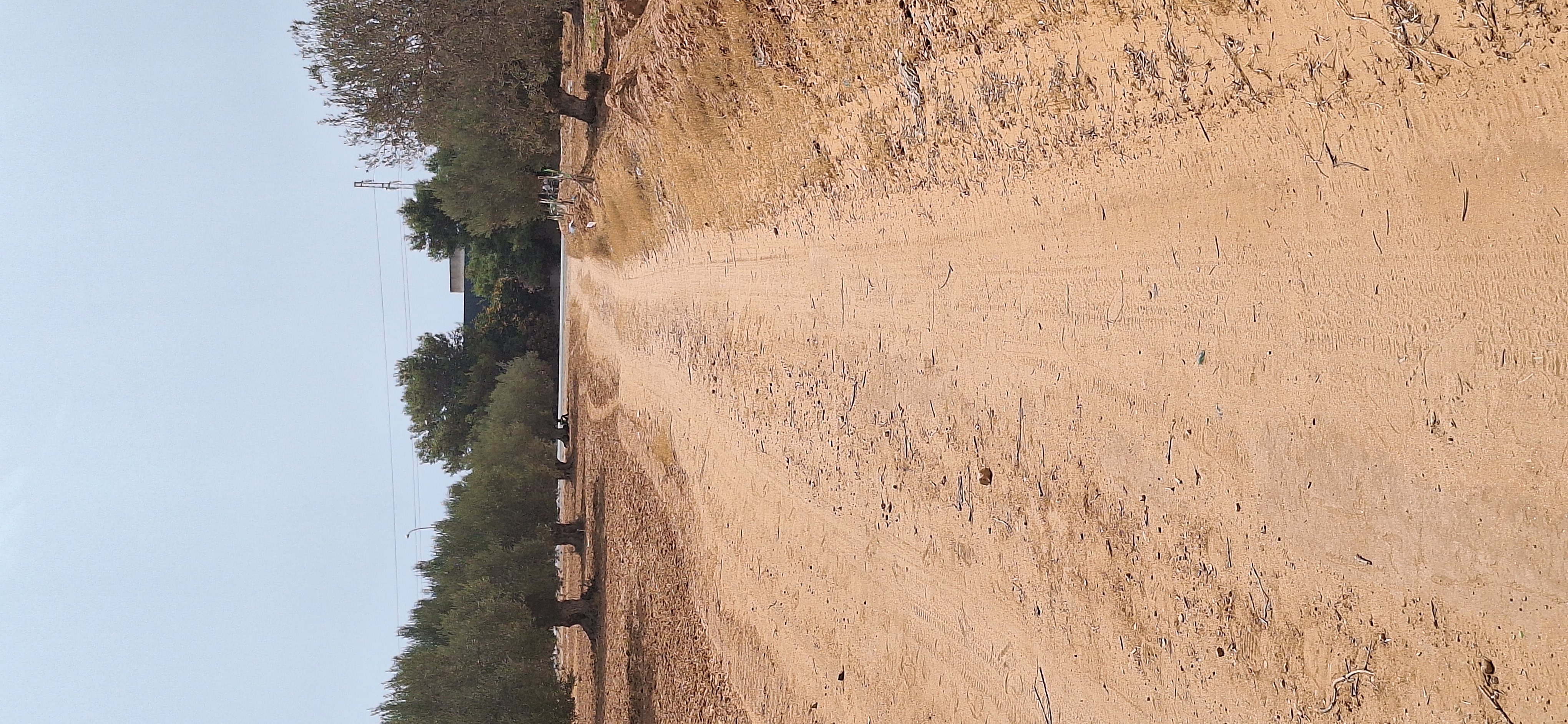 El Amra Dhraa Ben Ziad Terrain Terrain agricole Personnelle
