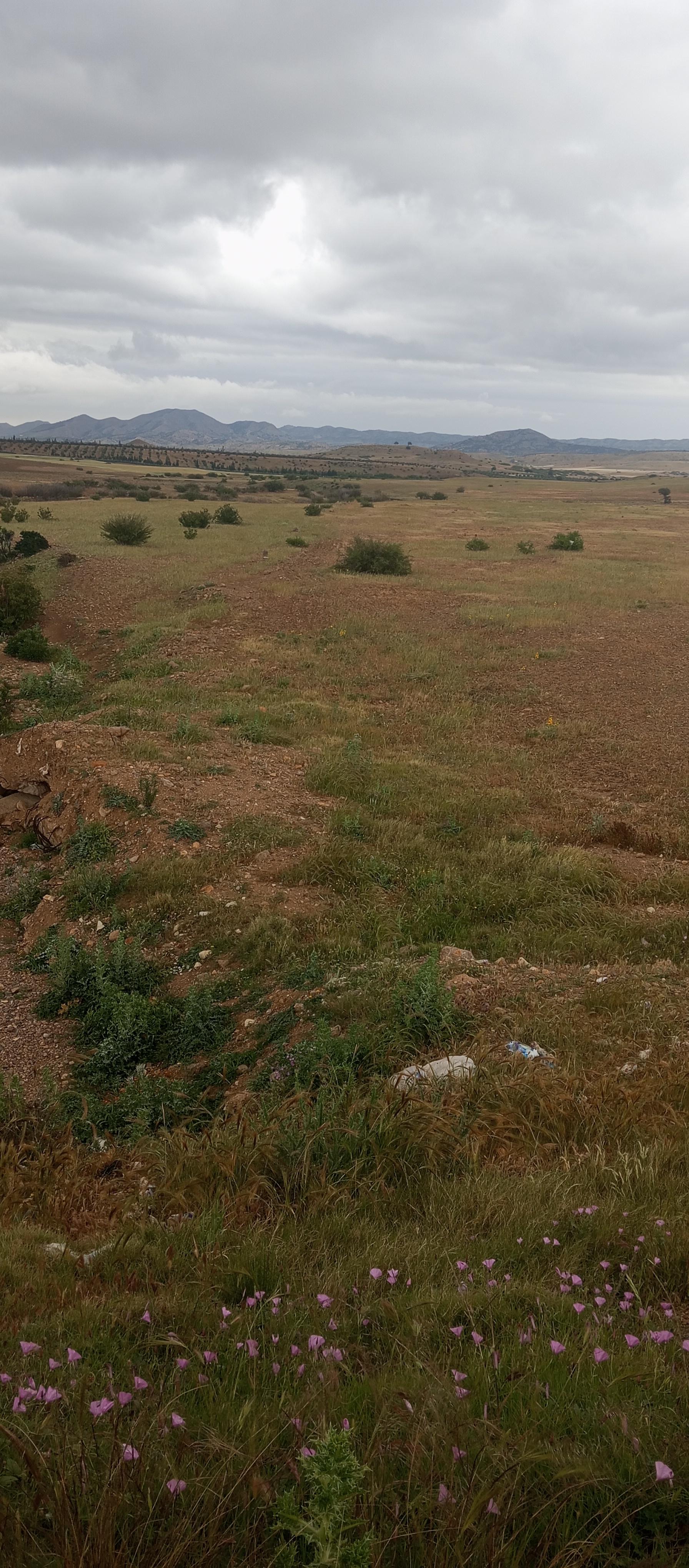 Oueslatia Oueslatia Terrain Terrain agricole Grande ferme