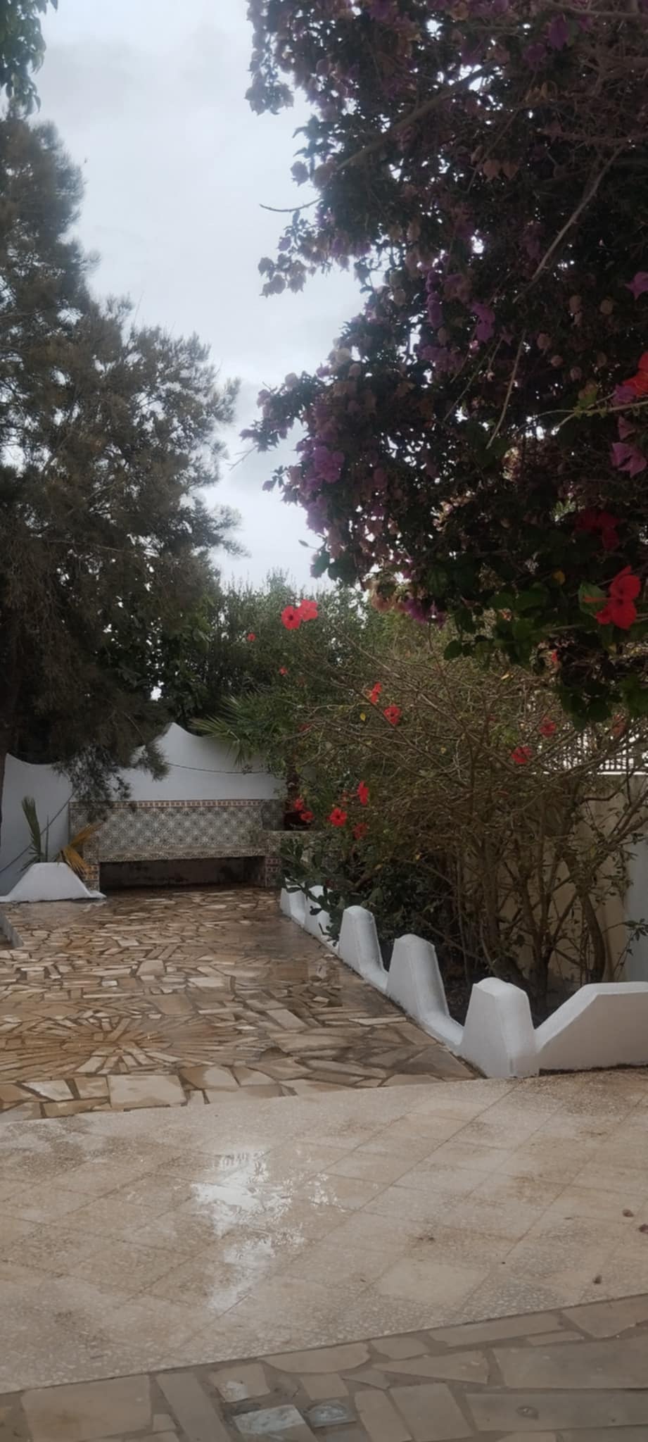 El Haouaria Cite Touristique Location vacances Maisons Jolie villa meubl  haouria plage