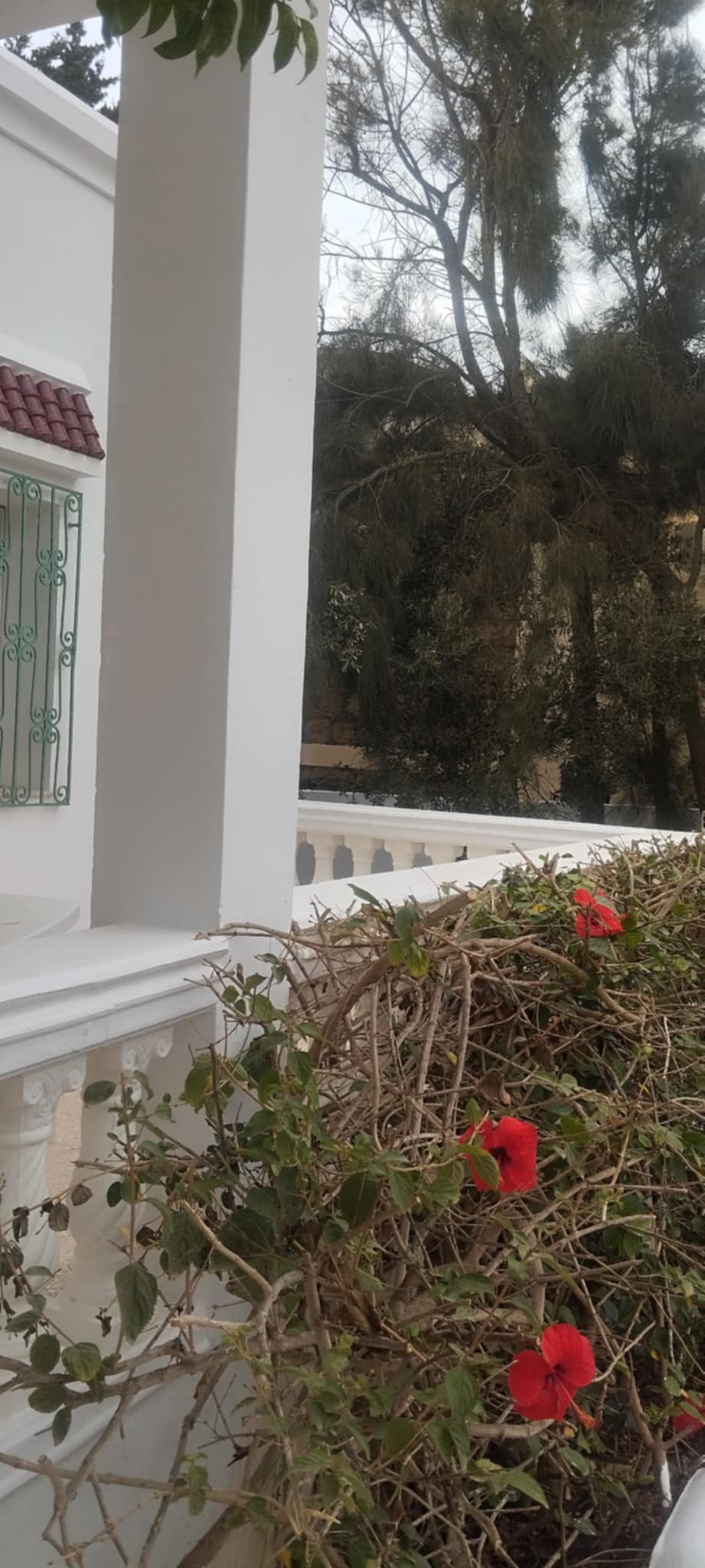 El Haouaria Cite Touristique Location vacances Maisons Jolie villa meubl  haouria plage