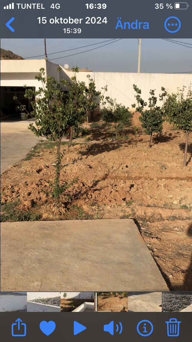 Sidi Thabet Jabbes Terrain Terrain agricole Terrain avec maison