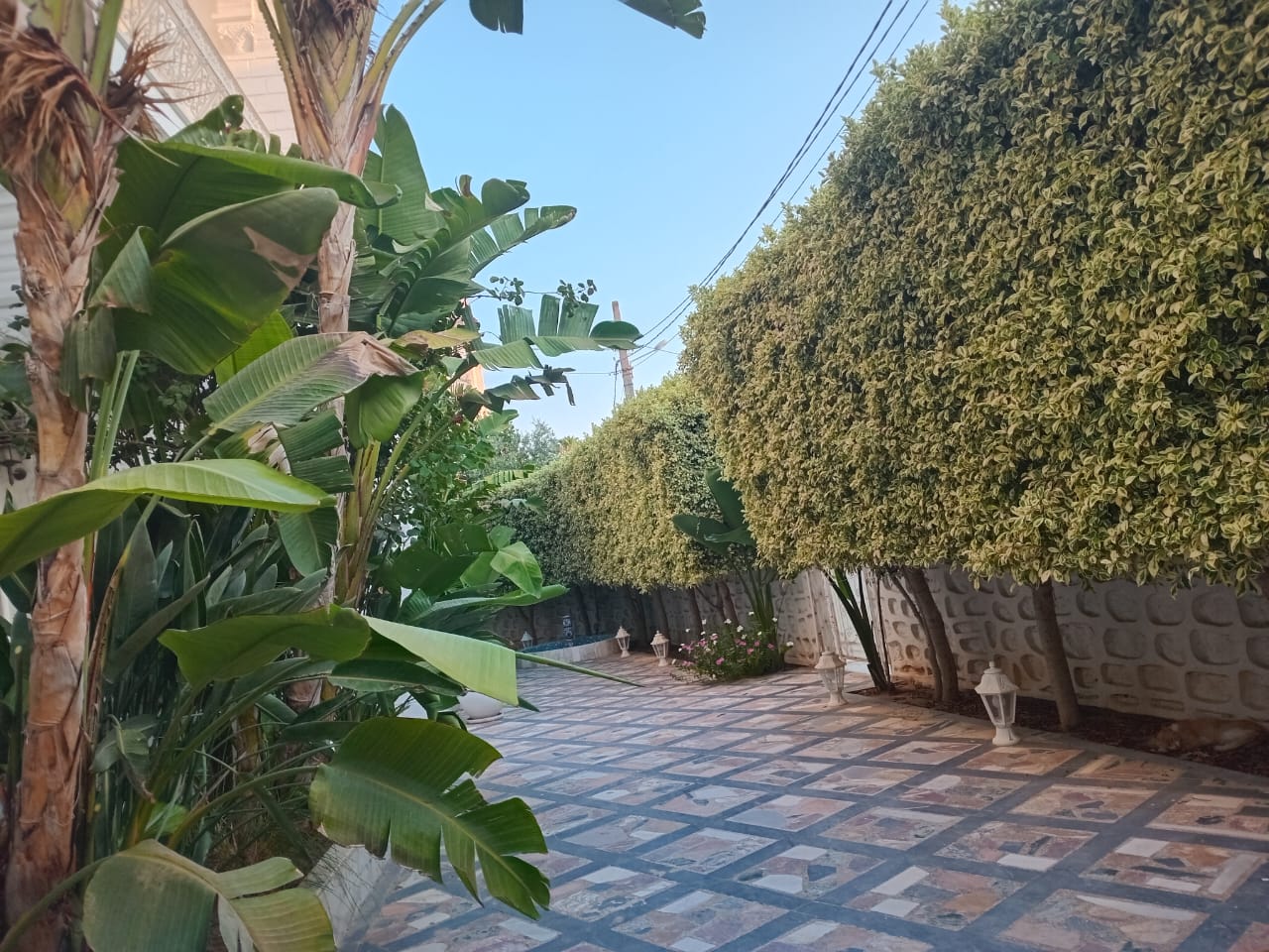 El Omrane El Omrane Location Maisons Etage de villa d une magnifique demeure