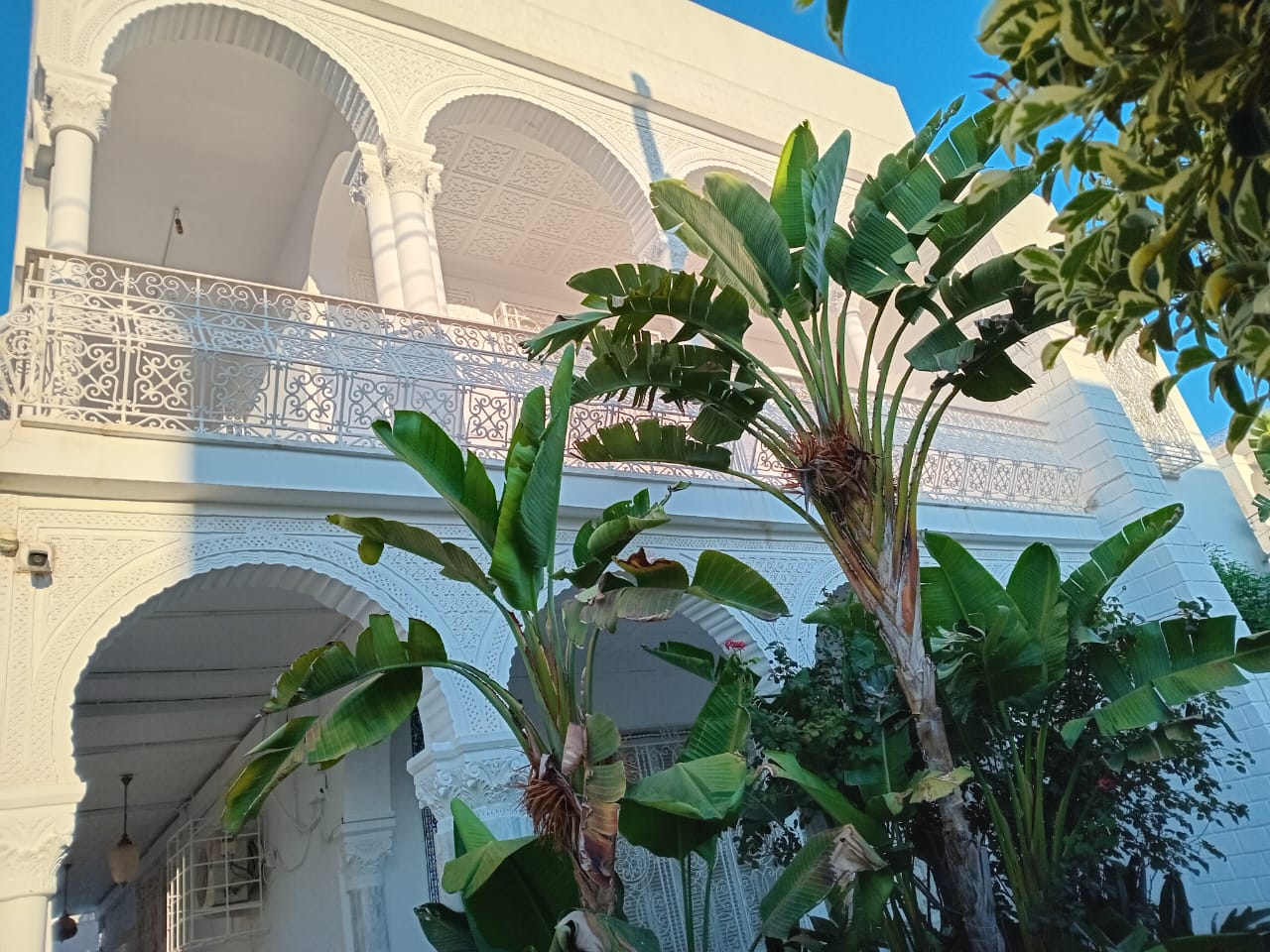 El Omrane El Omrane Location Maisons Etage de villa d une magnifique demeure