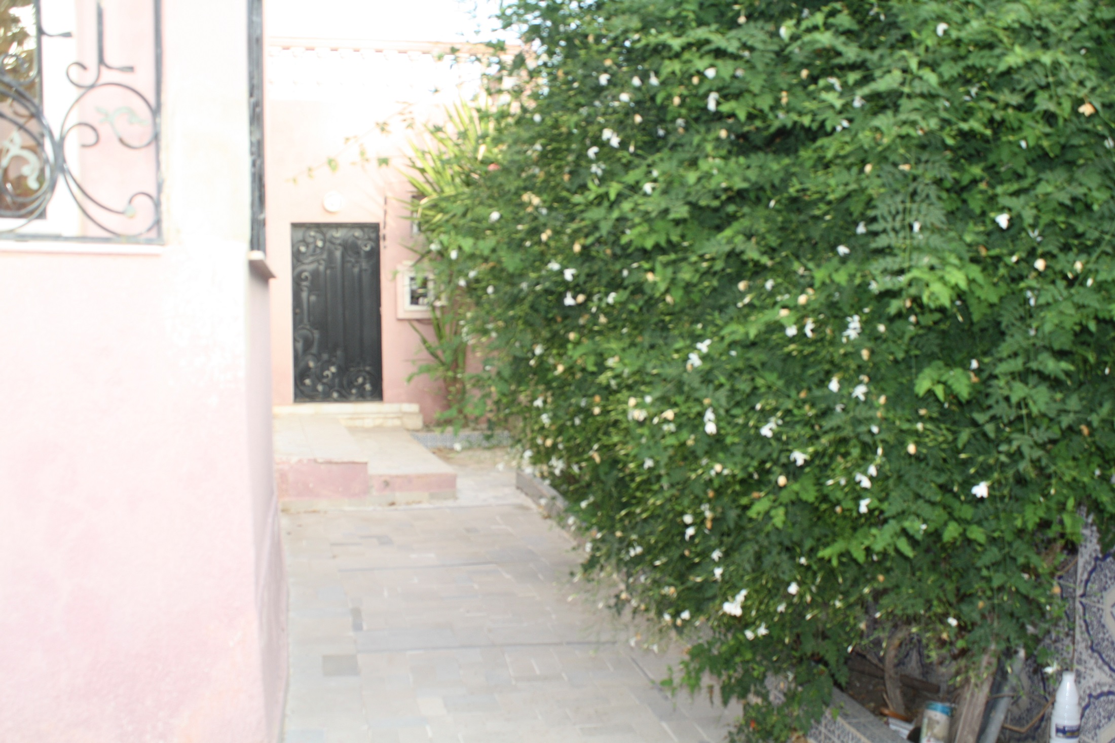Hammam Chatt Hammam Chatt Vente Maisons Gps villa en duplexe jardin divers  plus appart s2