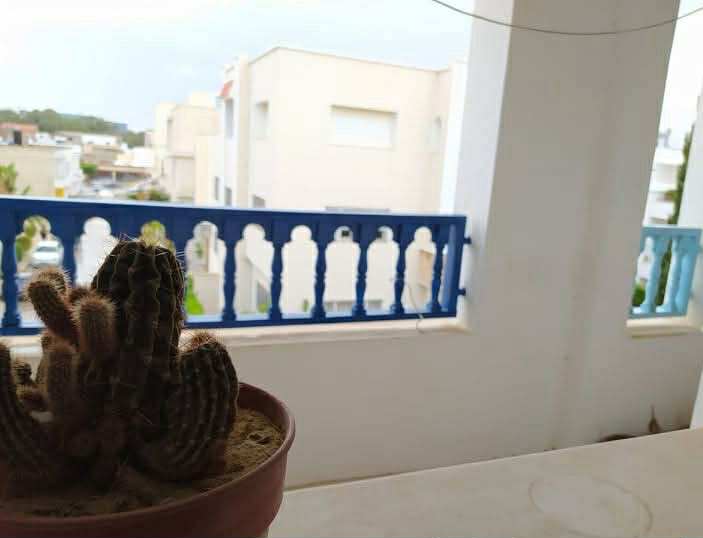 Ain Zaghouan Ain Zaghouan Location Appart. 3 pices Appartement s2 ain zaghouan