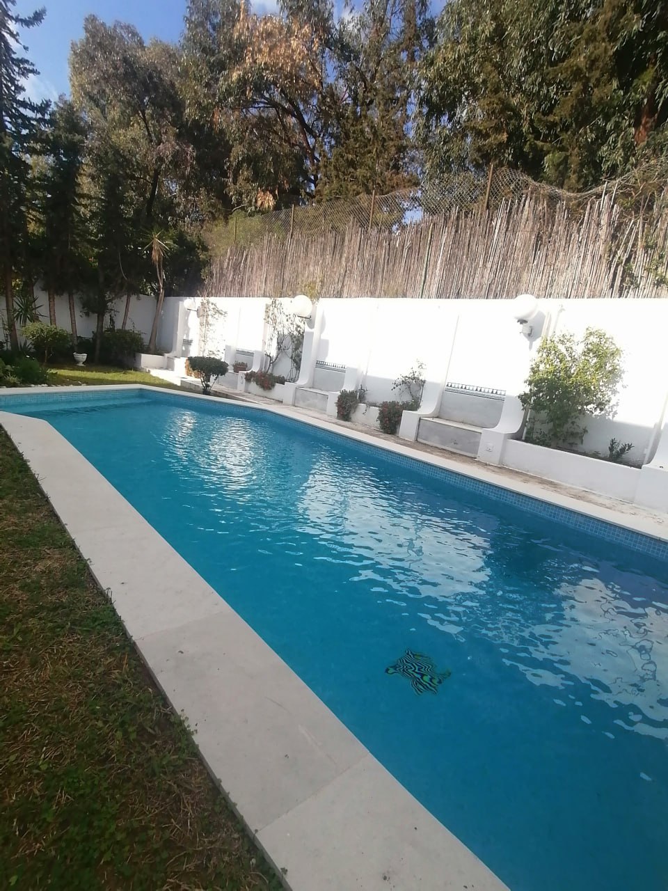 El Menzah Mutuelle Ville Location Maisons Villa avec piscine nord hilton