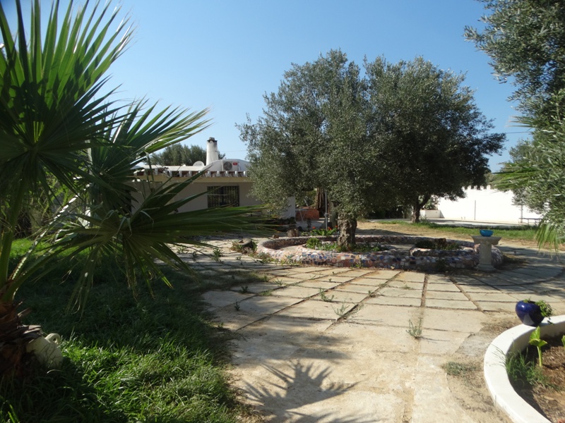 Hammamet Hammamet Vente Appart. 5 pices+ Villa green rf v1133