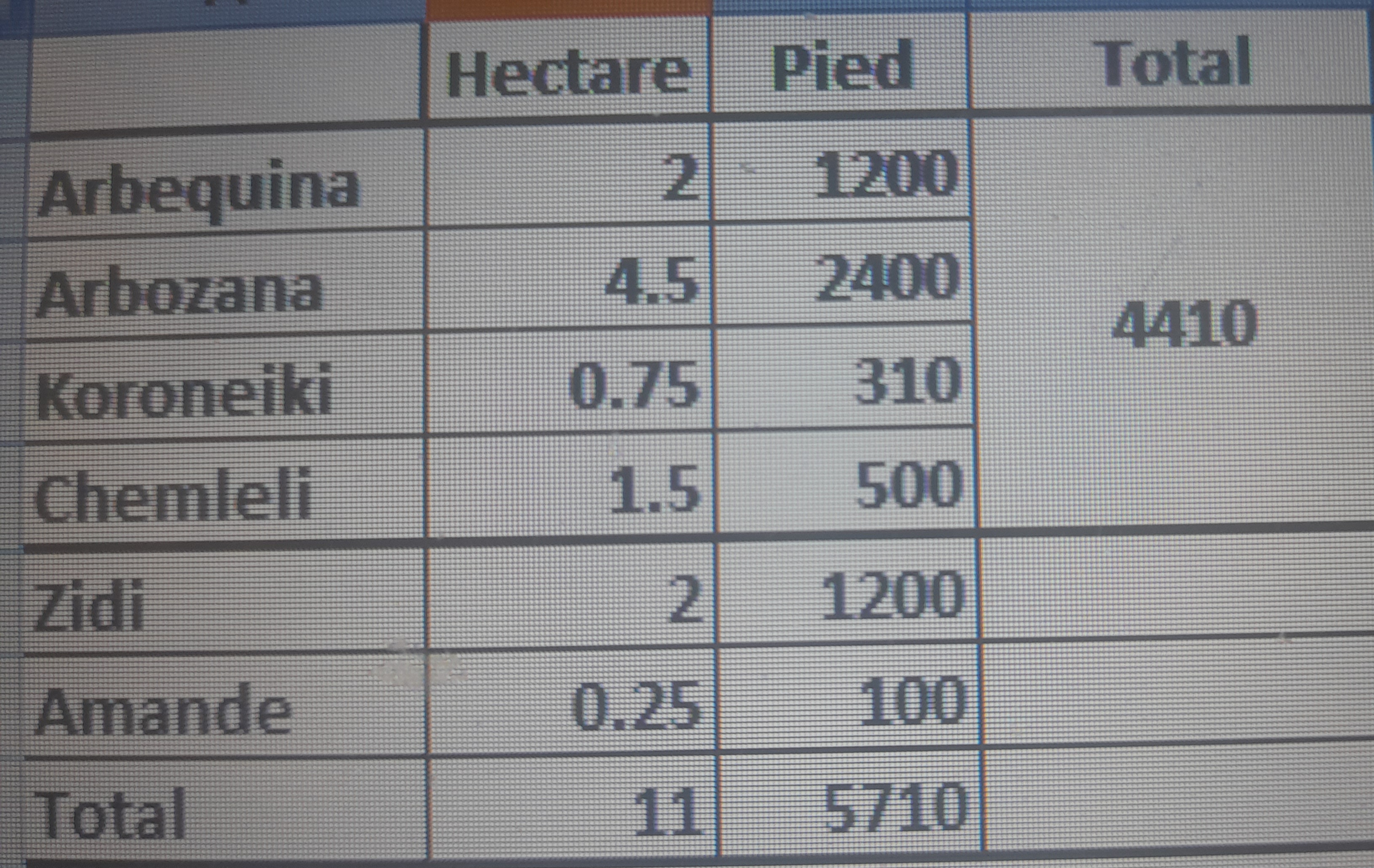 Esskhira Esskhira Terrain Terrain agricole Exploitation agricole moderne productive rentable