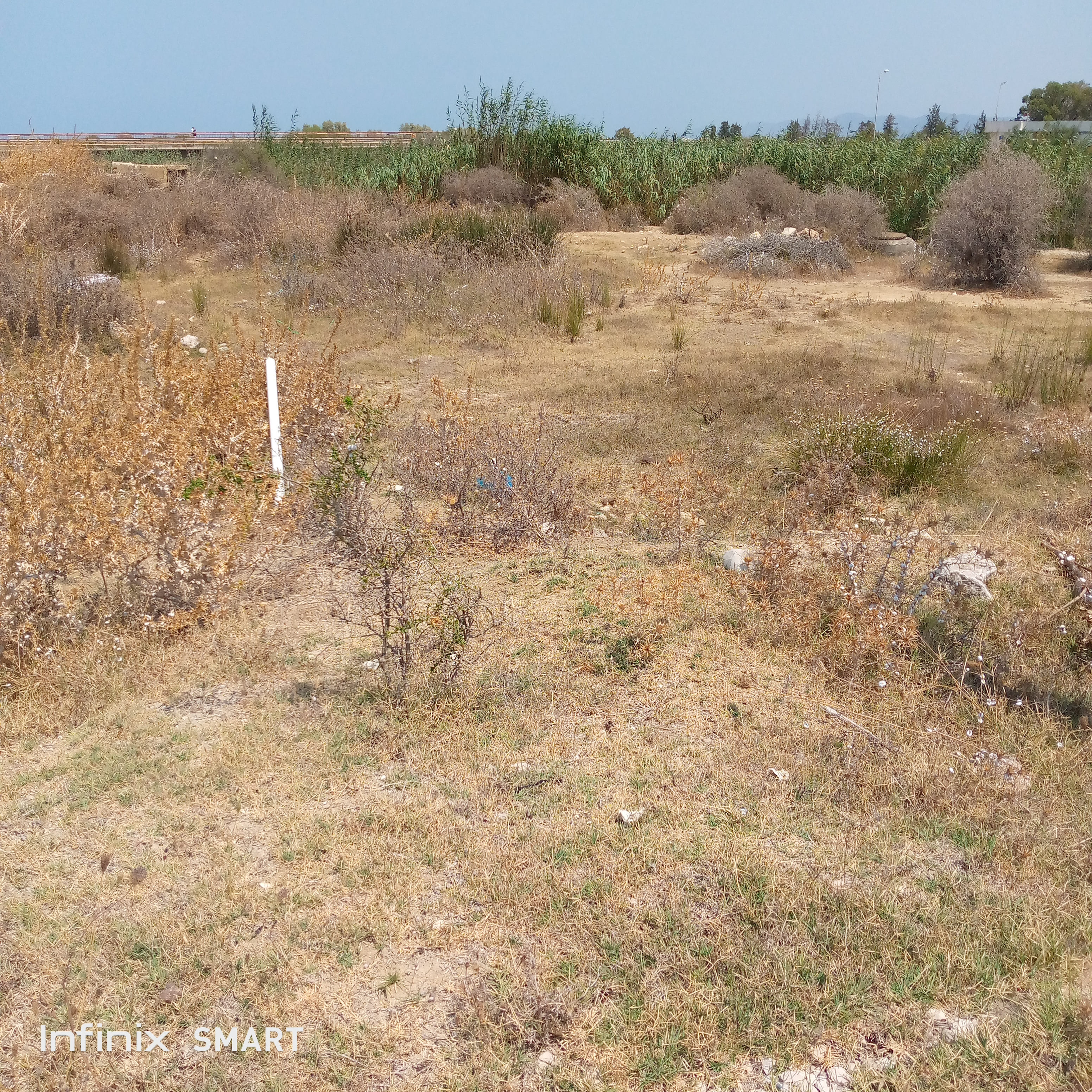 Hammam Chatt Borj Cedria Terrain Terrain nu Lot de terrain 519 m2
