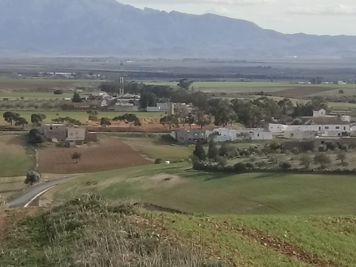Bir Mcherga Bir Mcherga Terrain Terrain agricole 11 hectares  2 hectares d'oliviers  9 hectares nu