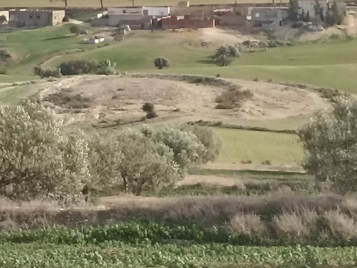 Bir Mcherga Bir Mcherga Terrain Terrain agricole 22 hectares 4 hectares d'oliviers 18 hectares nu