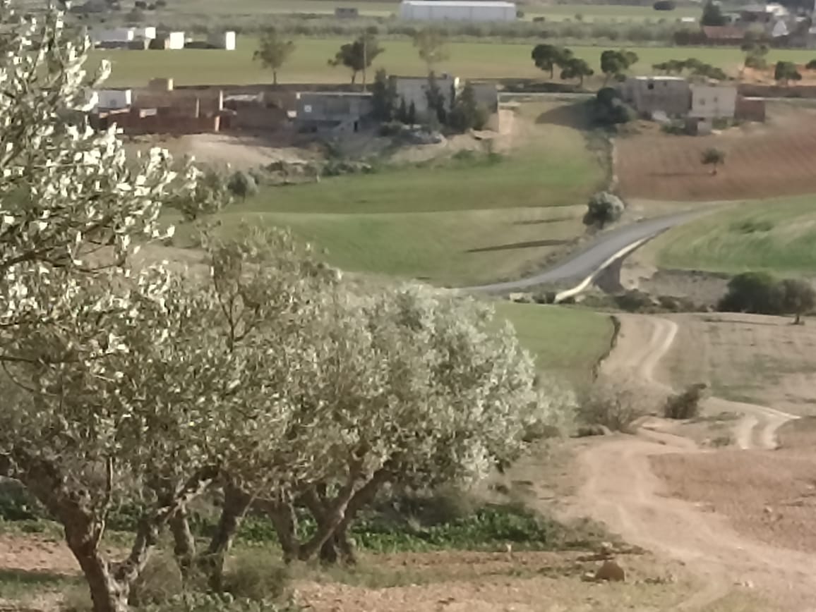 Bir Mcherga Bir Mcherga Terrain Terrain agricole 22 hectares 4 hectares d'oliviers 18 hectares nu