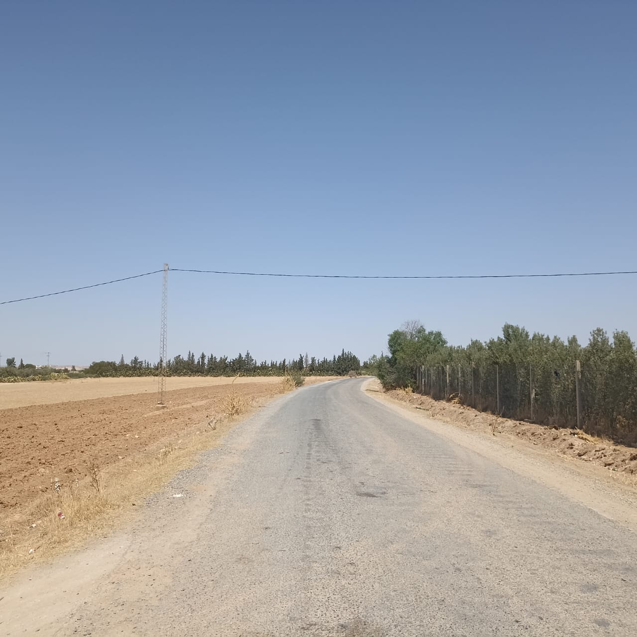 El Fahs El Amaiem Terrain Terrain agricole Ferme 4 hectares elfahs