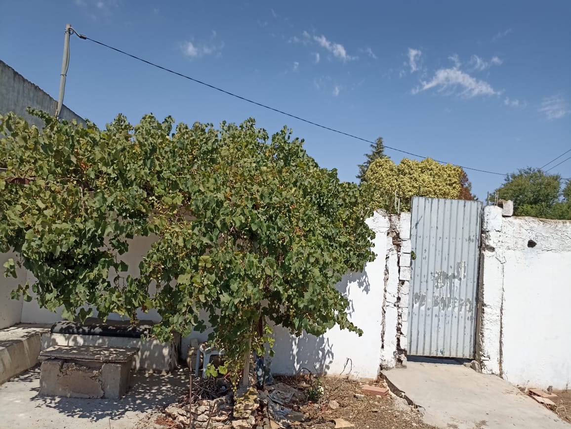 Bir Mcherga Delaiel El Arouss Terrain Terrain agricole Petite ferme 47km de tunis