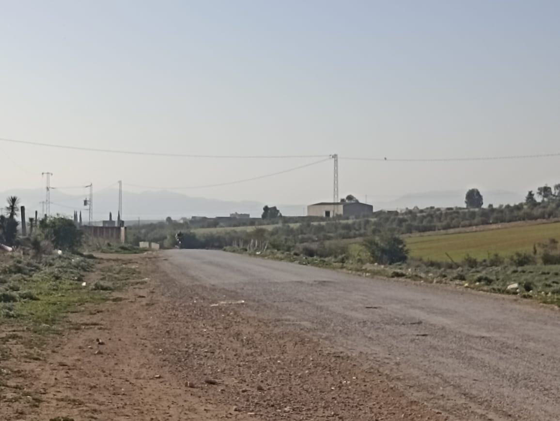 Bir Mcherga Bir Mcherga Terrain Terrain agricole 5 hectare 1h oliviers 4h nu