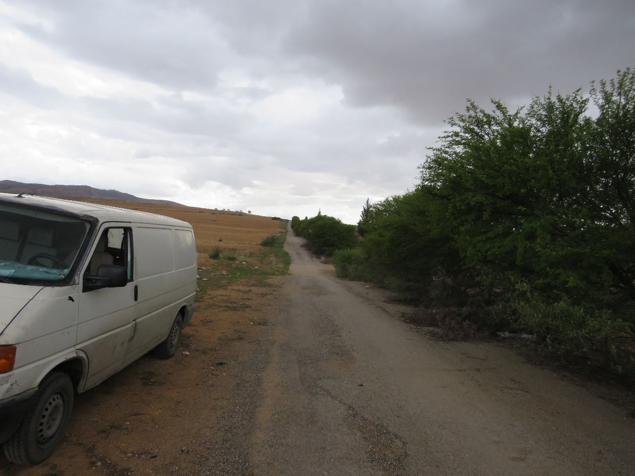 Bir Mcherga Bir Mcherga Terrain Terrain agricole 29 hectares   ct de l'autoroute