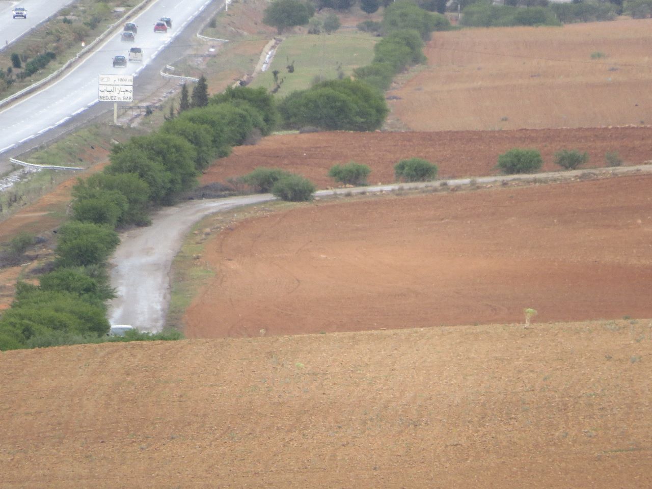 Bir Mcherga Bir Mcherga Terrain Terrain agricole 29 hectares   ct de l'autoroute
