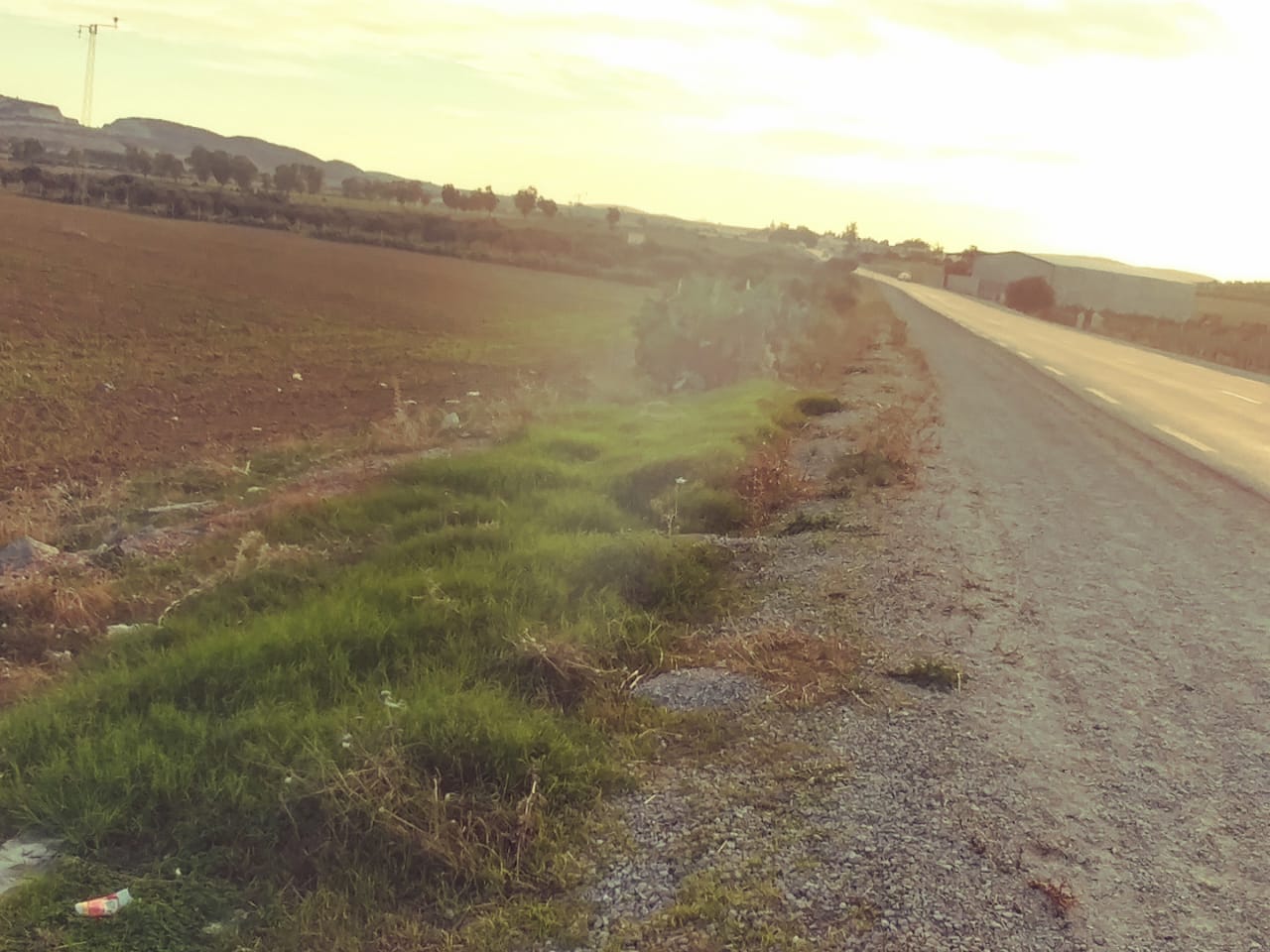 Bir Mcherga Ain El Asker Terrain Terrain agricole 3 hectares 7000m2 nu a ain el asker