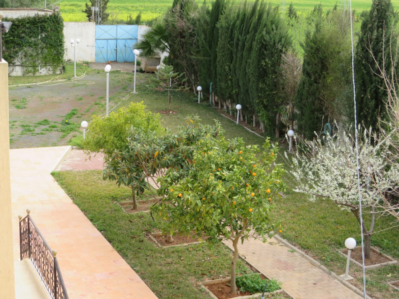 Bir Mcherga Boucha Terrain Terrain agricole Belle ferme 7 hectares villa haute standing